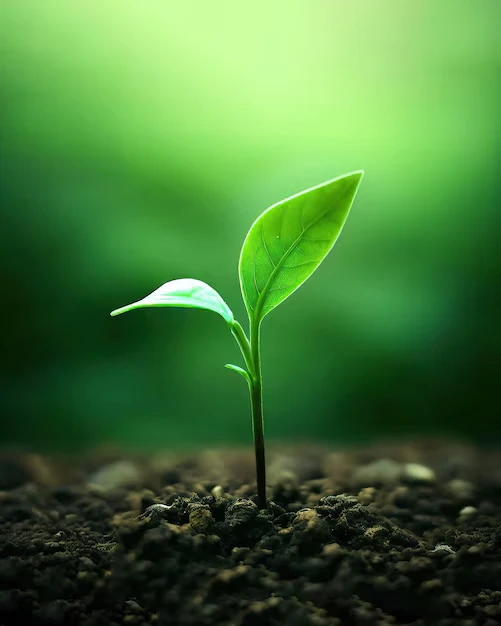 قال رسول الله صلى الله عليه وسلم الطهور شطر الإيمان والحمد لله تملأ الميزان وسبحان الله والحمد لله تملن أو تملأ بين السما والأرض والصلاة نور والصدقة برهان والصبر ضيا والقرن حجة لك أو عليك كل الناس يغدو فبائع نفسه فمعتقها أو موبقها رواه مسلمقيمة التبرعات على المشروع القيمةالمباعةعدد التبرعات على المشروع الكميةالمباعة